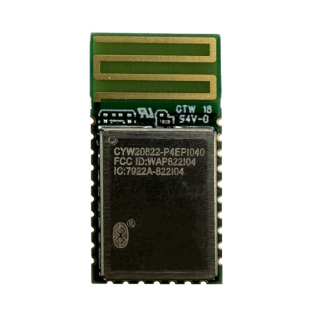 CYW20822P4EPI040XUMA1